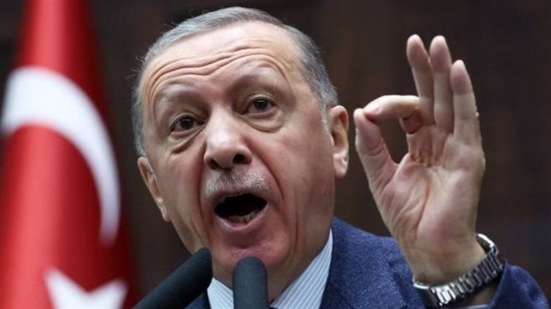 أردوغان، فيتو 