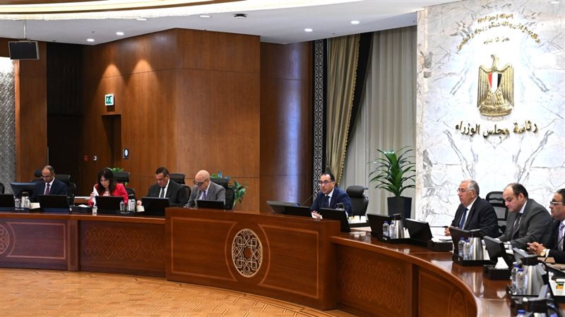 مجلس الوزراء، فيتو