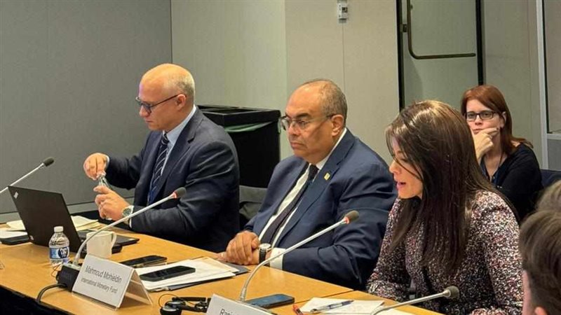 الدكتورة رانيا المشاط