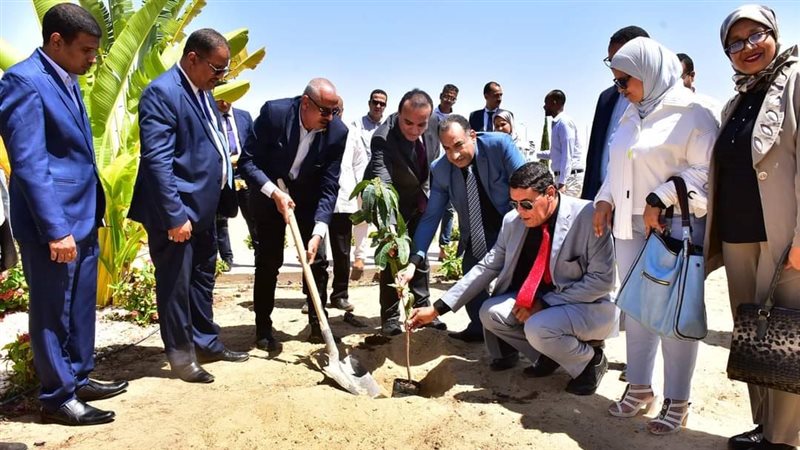 جامعة طيبة التكنولوجية،فيتو