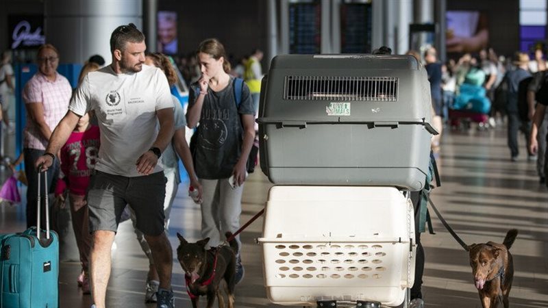 مطار بن جوريون، فيتو