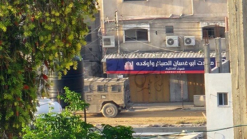 مخيم نور شمس، فيتو