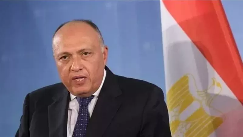 سامح شكري، فيتو