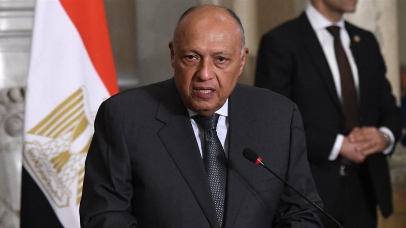 سامح شكرى وزير الخارجية،