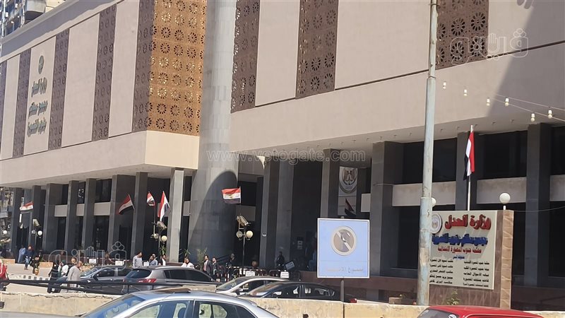 جنايات المنصورة،