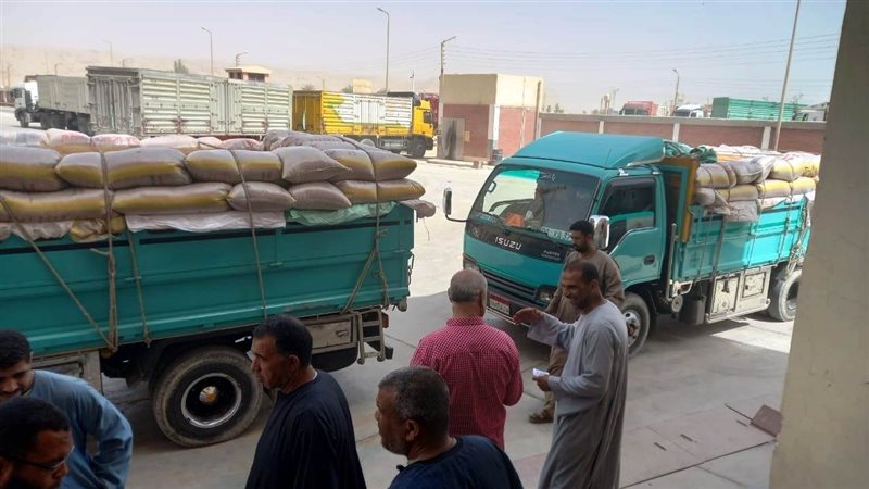 عملية توريد القمح،فيتو