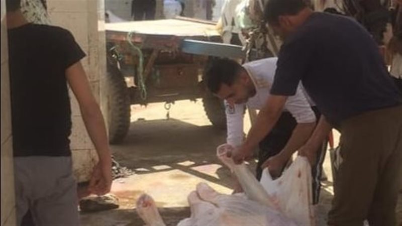 المجازر في الدقهلية،
