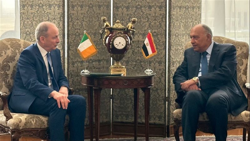 سامح شكرى وزير الخارجية،