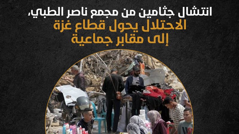 غزة، فيتو