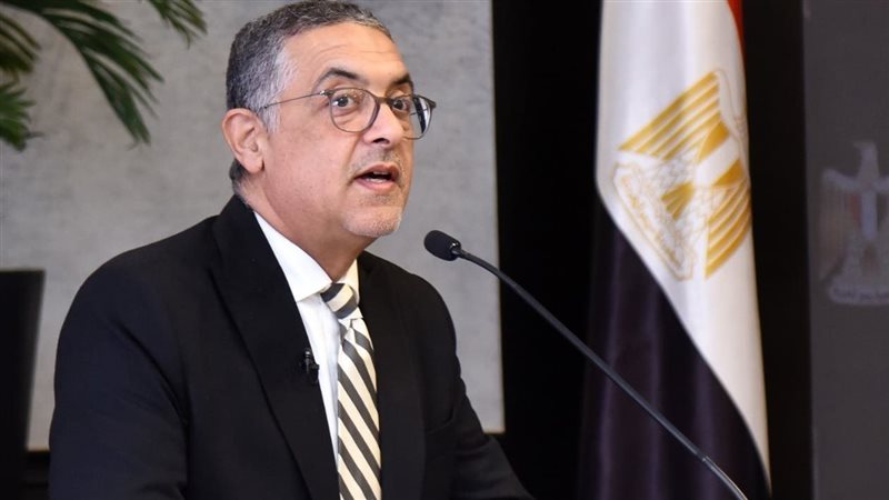 حسام هيبة رئيسة الهئية