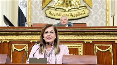 خطة 24/2025، السعيد أمام النواب: إنشاء وتطوير 471 محطة مياه و248 صرف صحي