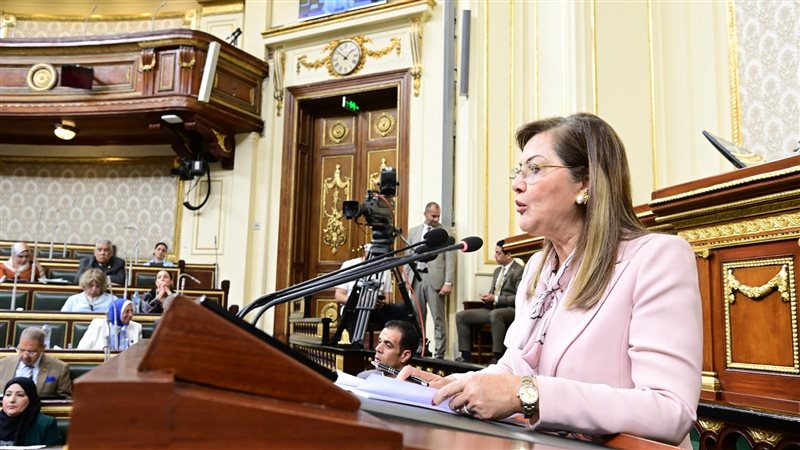 وزيرة التخطيط أمام