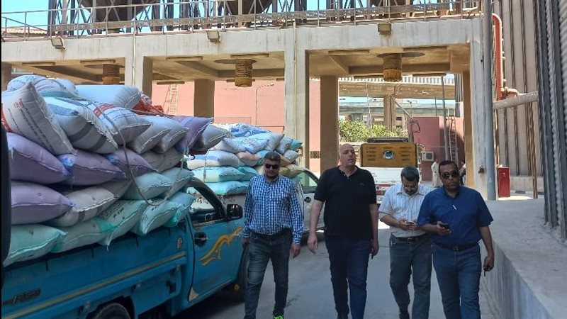 توريد القمح في الصوامع