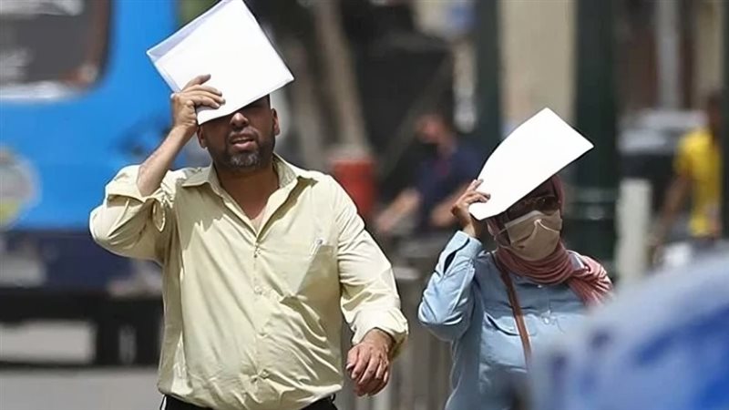 حالة الطقس غدا، فيتو