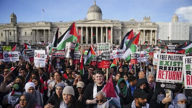مظاهرات داعمة لفلسطين،
