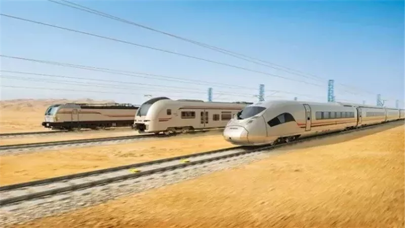 التعاون بين مصر وفرنسا،فيتو