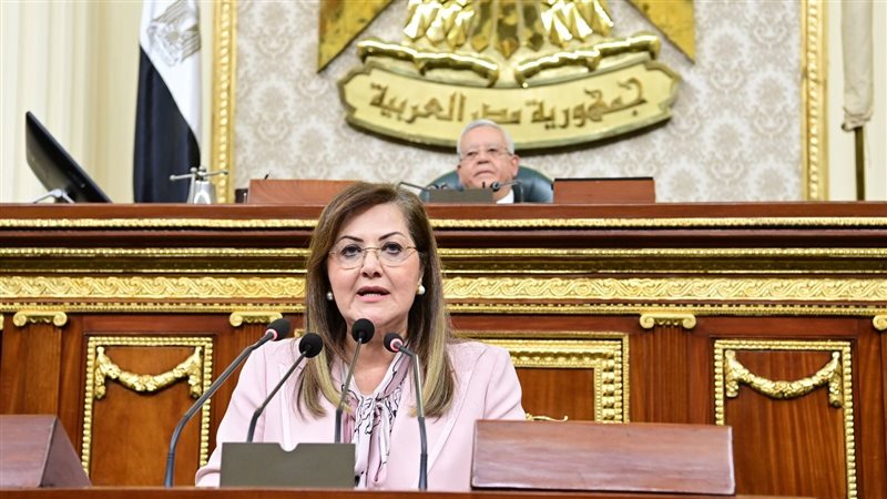 وزيرة التخطيط أمام