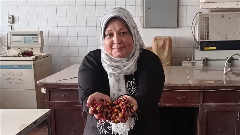 إنتاج البن في محطة