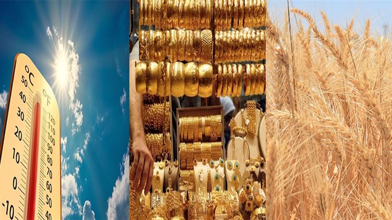 سعر القمح والذهب