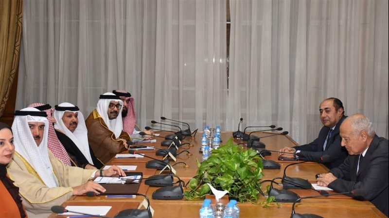 أحمد أبو الغيط، فيتو