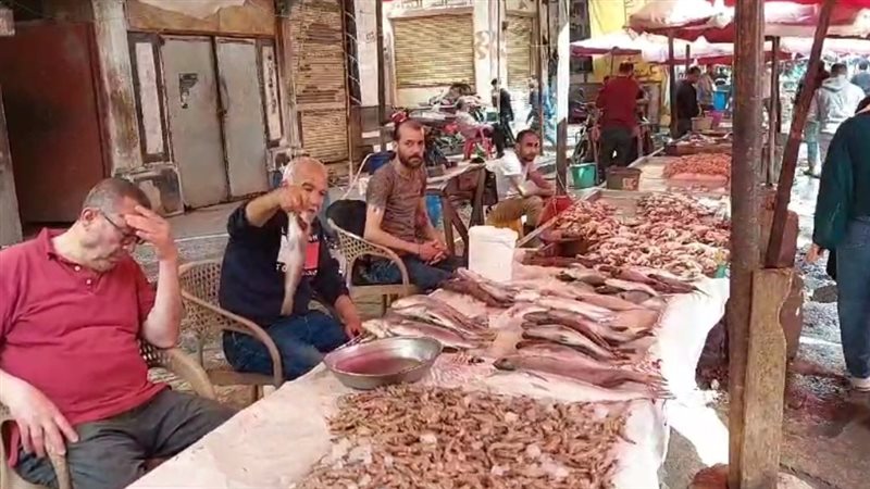 ركود في أسواق الأسماك
