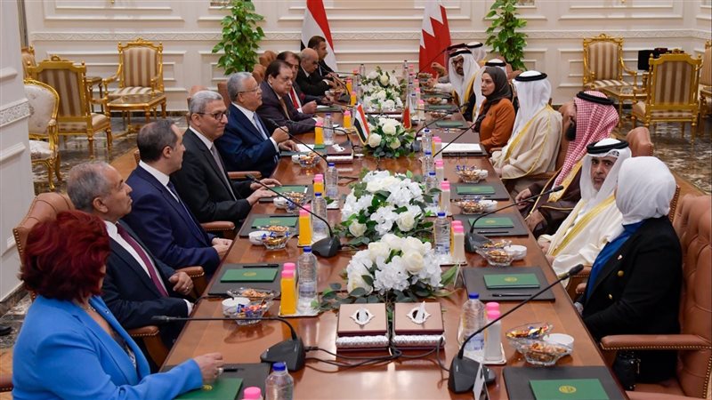 استقبال رئيس النواب