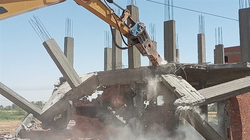 الإسكندرية،فيتو