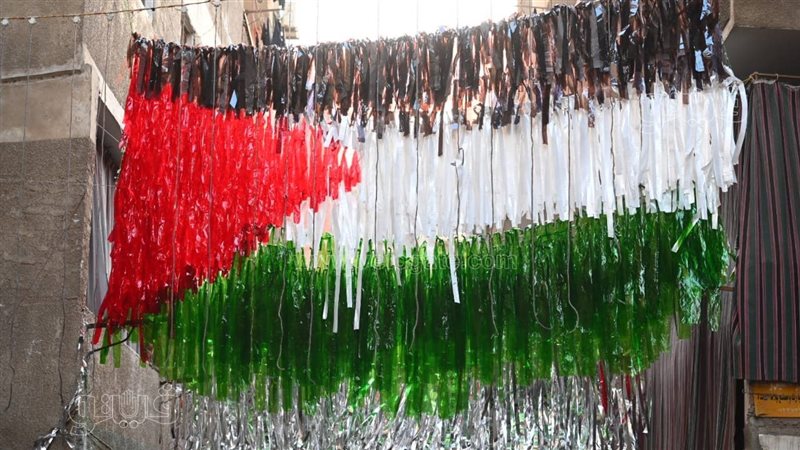 علم فلسطين، فيتو