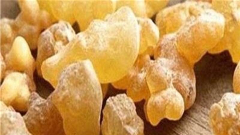 فوائد اللبان الدكر،