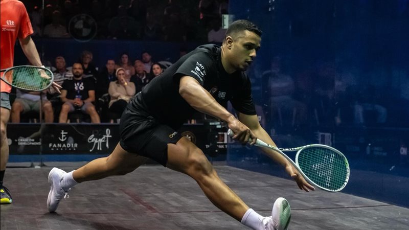 مصطفى عسل، فيتو