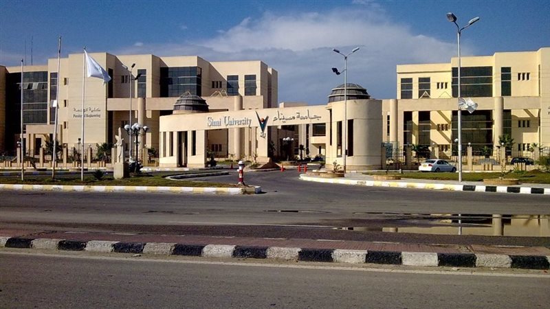 الجامعات في سيناء،فيتو