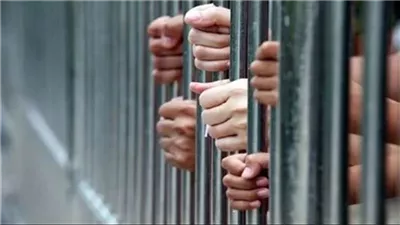 حبس صبي ووالده في جريمة تجارة الأعضاء البشرية بشبرا الخيمة بعد ترحيلهما من الكويت