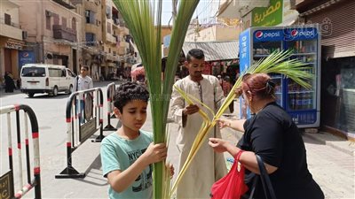 أشكال فنية مميزة بالسعف في احتفالات أحد الشعانين بالأقصر (بث مباشر)