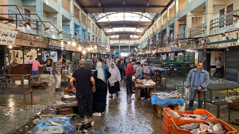  أسعار الأسماك في