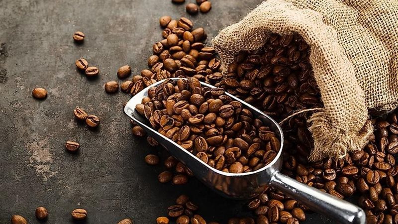 الإنتاج العالمي من