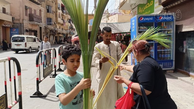 أحد السعف بالأقصر،