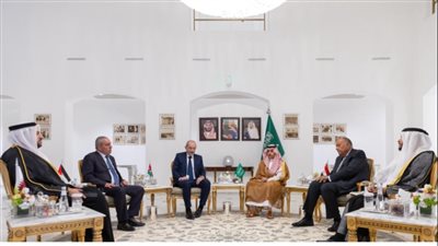 وزير الخارجية يُشارِك في اجتماع تشاوري عربي لبحث جهود وقف الحرب الإسرائيلية على غزة 