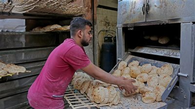 التموين: 75% من المخابز السياحية والإفرنجية في المنيا خفضت أسعارها 