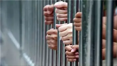 القبض على 3 أشخاص أثناء سرقة عمود إنارة في قليوب