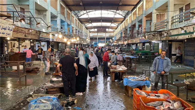 اسعار الأسماك، فيتو