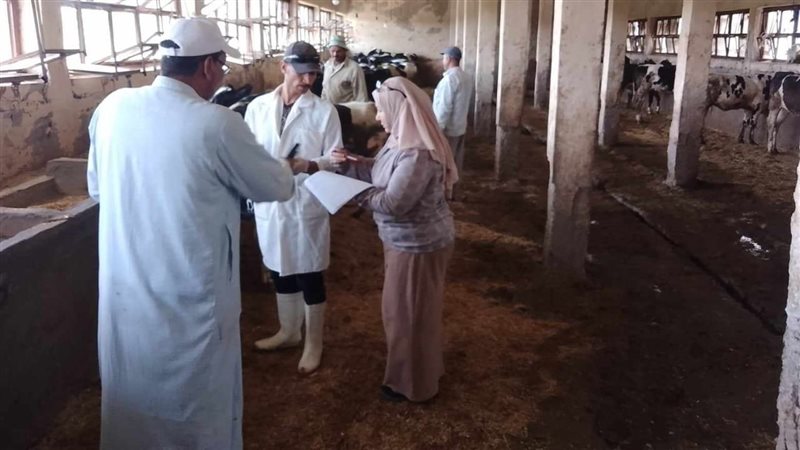 بيطرية البحيرة،فيتو