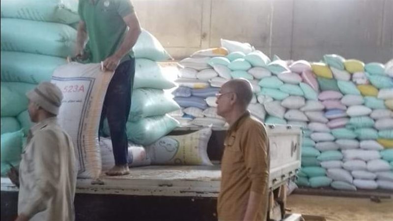 توريد القمح بالقليوبية،