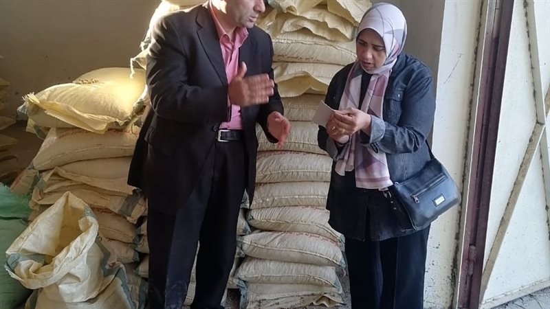 الإسكندرية، فيتو