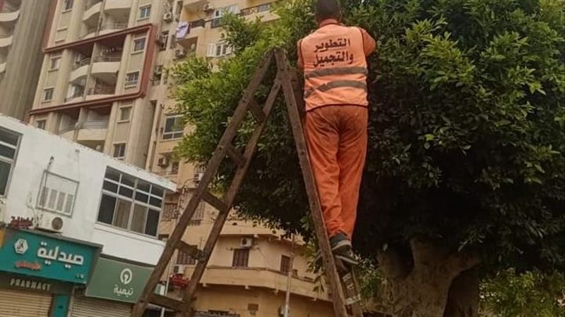 جانب من أعمال التجميل،