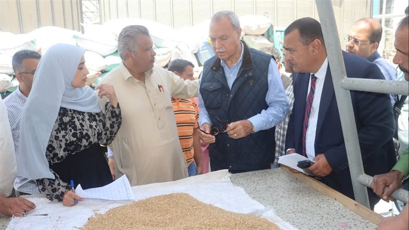 محافظ القليوبية يتابع