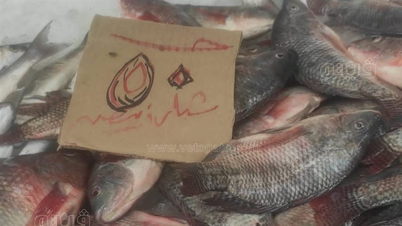 سعر سمك الشبار، فيتو