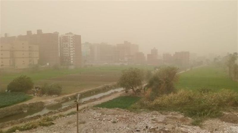 حالة الطقس غدا، فيتو