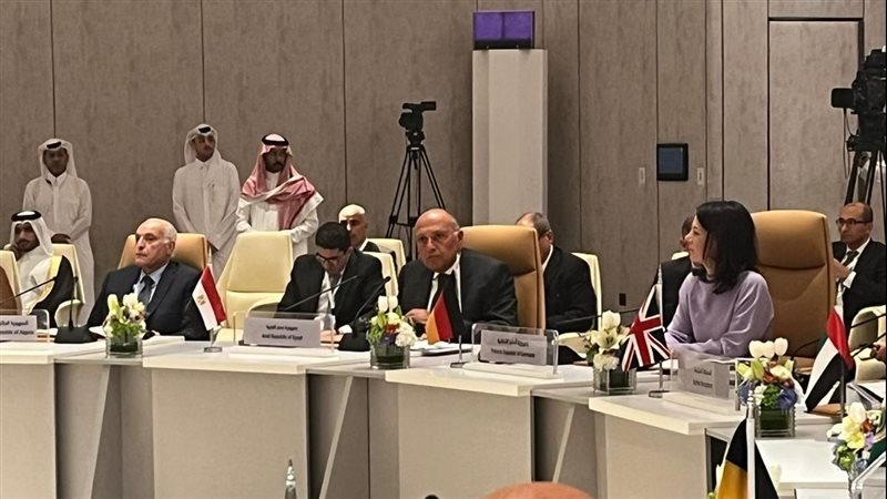 سامح شكرى وزير الخارجية،