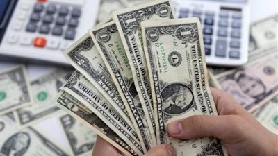 خبير اقتصادي: حصيلة التنازلات عن الدولار تجاوزت 20 مليارا