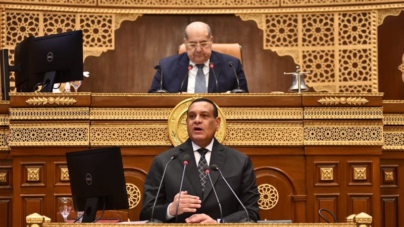 وزير التنمية المحلية